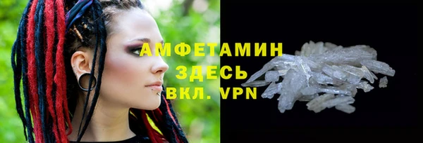 метадон Богданович