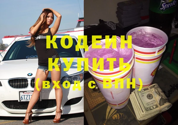 метадон Богданович