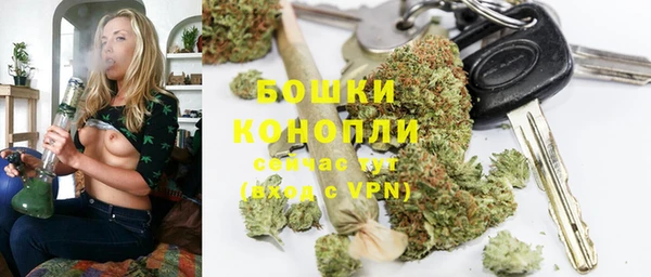 метадон Богданович
