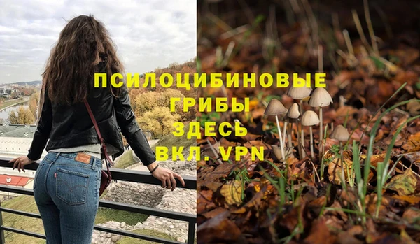 не бодяженный Богородск
